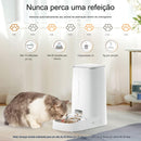 Alimentador Automático - Alimentador  Inteligente ROJECO