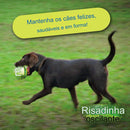 Bola Pet Wobble /Brinquedo Interativo para animais de estimação