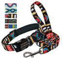 Coleira de cachorro personalizada com trela de nylon (Coleira com Identificação de animais, super estilosa)