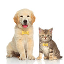 Pingente de Coleira personalizado de identificação caes e gatos(Deixe registrado o nome e seu telefone na coleira do seu pet)