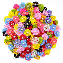 Xuxinha para cachorros, yorkshire, poodle..(20 PCS)
