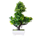 Decoração com Bonsai de pinho / pequenas árvores