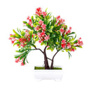 Decoração com Bonsai de pinho / pequenas árvores