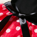 Conjunto Minnie duas cores ( Aniversário, carnaval, fotos,dia a dia )