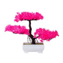 Decoração com Bonsai de pinho / pequenas árvores