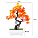 Decoração com Bonsai de pinho / pequenas árvores