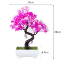 Decoração com Bonsai de pinho / pequenas árvores