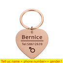 Pingente de Coleira personalizado de identificação caes e gatos(Deixe registrado o nome e seu telefone na coleira do seu pet)