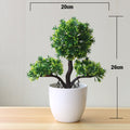 Decoração com Bonsai de pinho / pequenas árvores