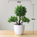 Decoração com Bonsai de pinho / pequenas árvores