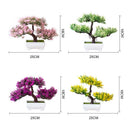 Decoração com Bonsai de pinho / pequenas árvores