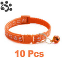 Conjunto com 10 coleiras para Pets de pequeno porte  (Seu pet estiloso com várias cores)
