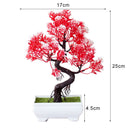 Decoração com Bonsai de pinho / pequenas árvores