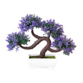 Decoração com Bonsai de pinho / pequenas árvores