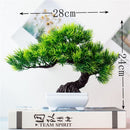Decoração com Bonsai de pinho / pequenas árvores