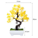 Decoração com Bonsai de pinho / pequenas árvores