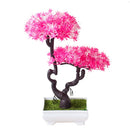 Decoração com Bonsai de pinho / pequenas árvores