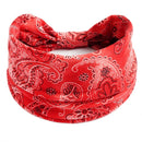 Bandana estilosa  para os cabelos ( Várias estampas )