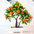 Decoração com Bonsai de pinho / pequenas árvores