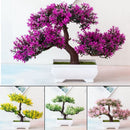 Decoração com Bonsai de pinho / pequenas árvores