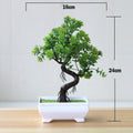 Decoração com Bonsai de pinho / pequenas árvores