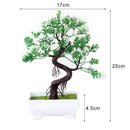 Decoração com Bonsai de pinho / pequenas árvores