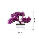 Decoração com Bonsai de pinho / pequenas árvores