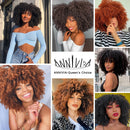 Cabelo curto Afro Kinky Curly com franja para (Você sempre única e estilosa) Multicolors