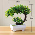 Decoração com Bonsai de pinho / pequenas árvores