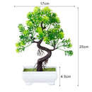 Decoração com Bonsai de pinho / pequenas árvores