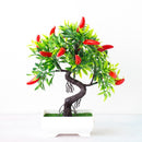 Decoração com Bonsai de pinho / pequenas árvores