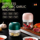 Moedor de alho Food mixer ,pastas, pedaços de frutas para bebês (Dê adeus ao cheiro de alho impregnado)