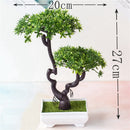 Decoração com Bonsai de pinho / pequenas árvores