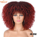 Cabelo curto Afro Kinky Curly com franja para (Você sempre única e estilosa) Multicolors
