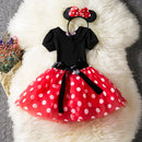 Conjunto Minnie duas cores ( Aniversário, carnaval, fotos,dia a dia )