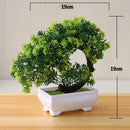 Decoração com Bonsai de pinho / pequenas árvores
