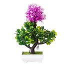 Decoração com Bonsai de pinho / pequenas árvores