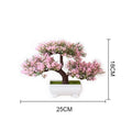 Decoração com Bonsai de pinho / pequenas árvores