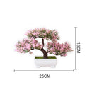 Decoração com Bonsai de pinho / pequenas árvores
