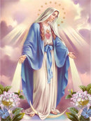 Kit de Diamante, Virgem Maria(Tenha um hobby saudável)