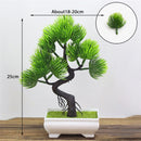 Decoração com Bonsai de pinho / pequenas árvores