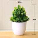 Decoração com Bonsai de pinho / pequenas árvores