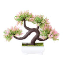 Decoração com Bonsai de pinho / pequenas árvores
