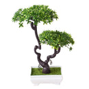 Decoração com Bonsai de pinho / pequenas árvores