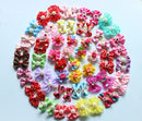 Xuxinha para cachorros, yorkshire, poodle..(20 PCS)