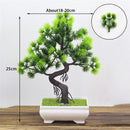 Decoração com Bonsai de pinho / pequenas árvores