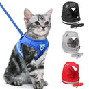 Coleira de poliéster para cães pequenos e gatos