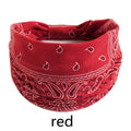 Bandana estilosa  para os cabelos ( Várias estampas )