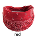 Bandana estilosa  para os cabelos ( Várias estampas )