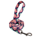 Coleira de cachorro personalizada com trela de nylon (Coleira com Identificação de animais, super estilosa)